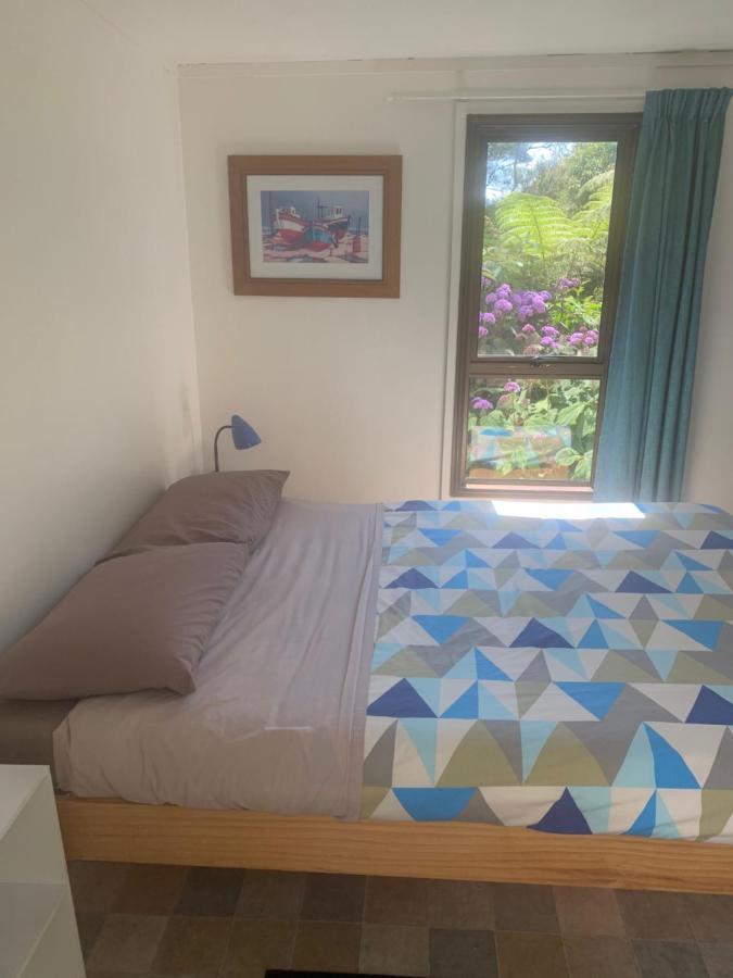 Pickled Parrot - Boutique Hostel ไปเฮีย ภายนอก รูปภาพ